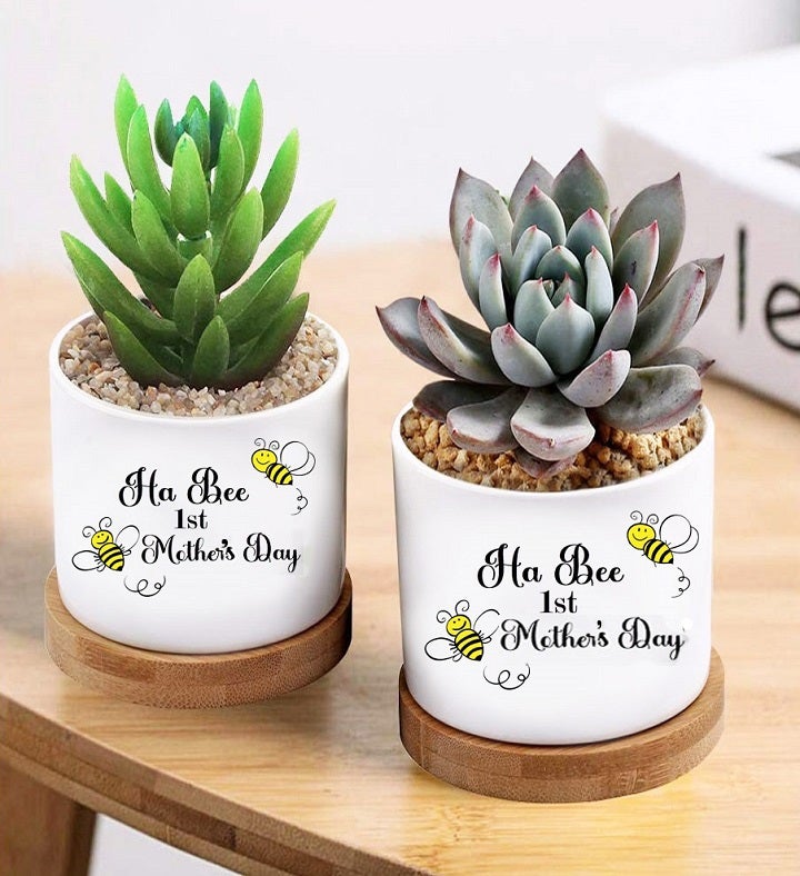 Happy 1st Mother's Day Succulent Gift