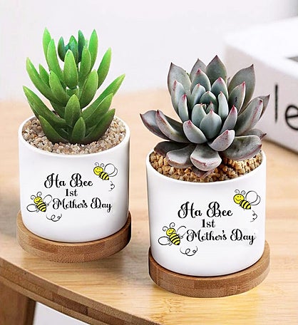 Happy 1st Mother's Day Succulent Gift