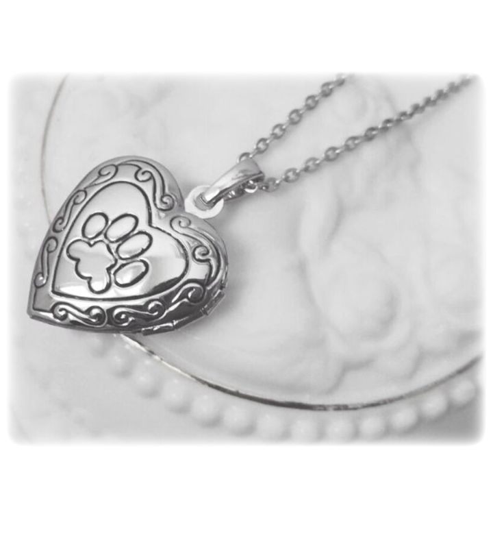 Loss Of Pet Memorial Locket Necklace