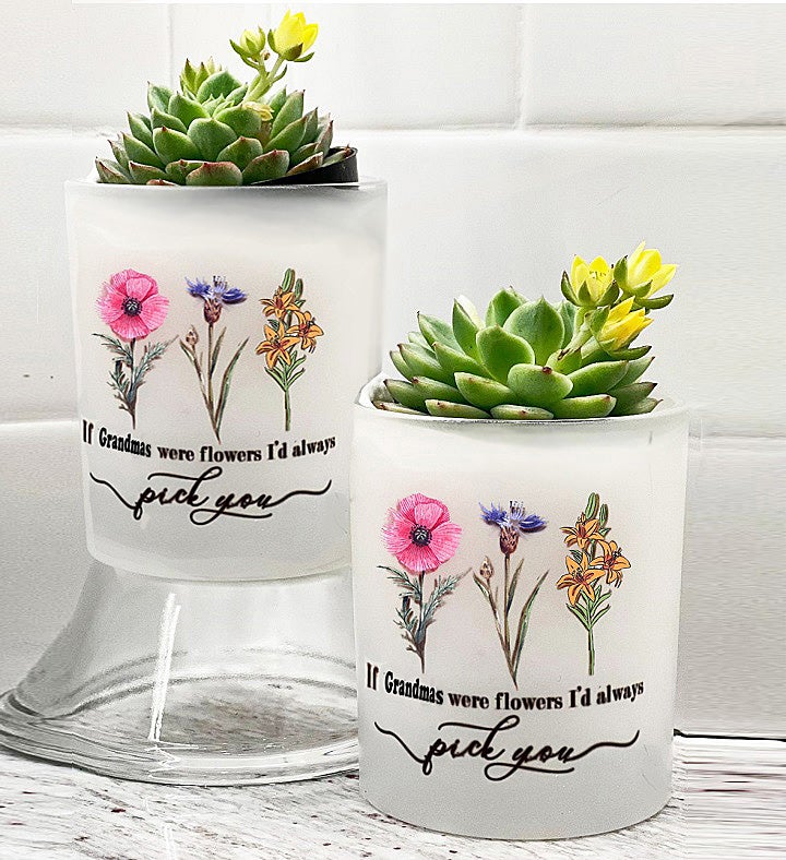 Mother's Day Succulent Planter