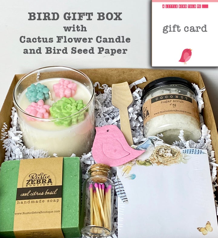 Bird Gift Box With Flower Seeds