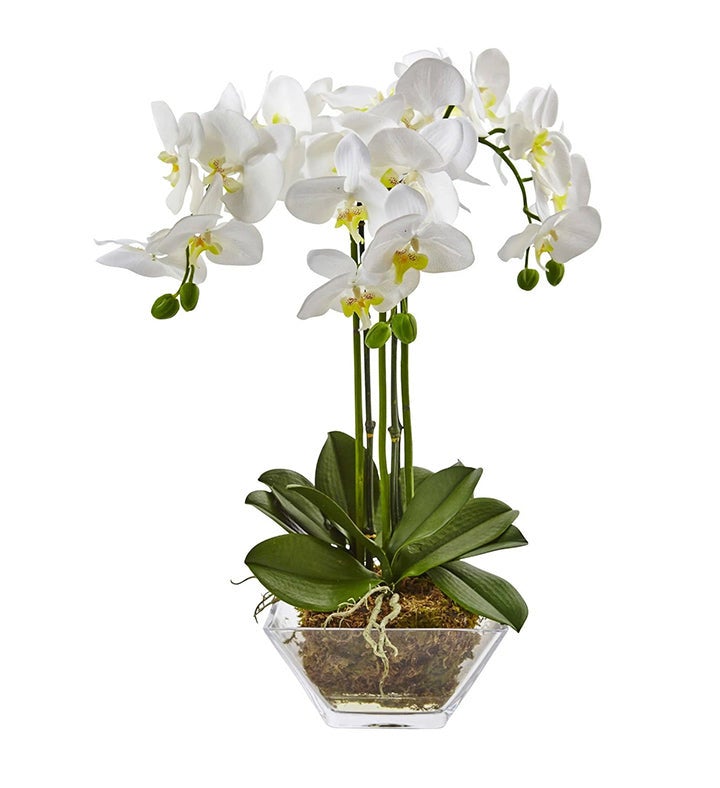 Nearly Natural Triple Phalaenopsis Orchid In Glass Vase