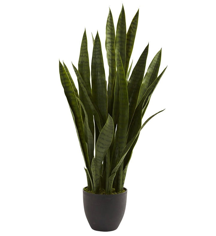 Nearly Natural Sansevieria W/black Planter