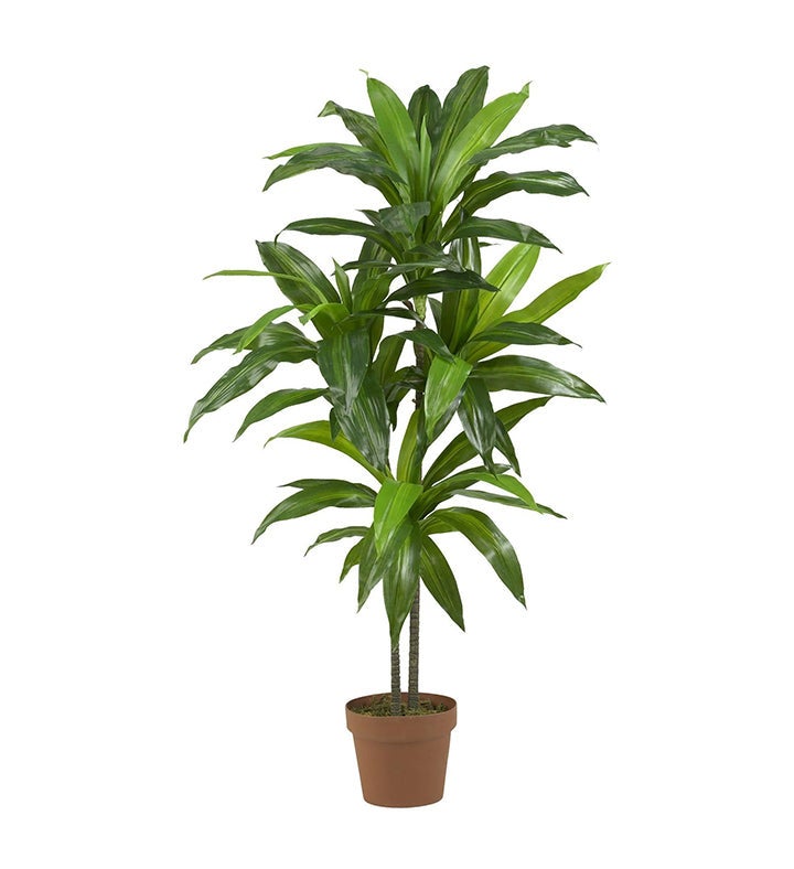 Nearly Natural 48" Dracaena Silk Plant  real Touch