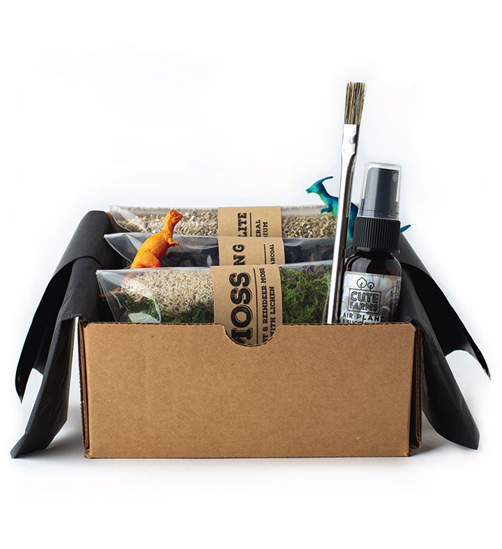 Terrarium Starter Kit