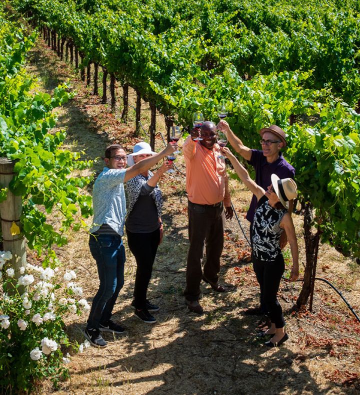 Redwoods & Wine Country Tour For Two - California