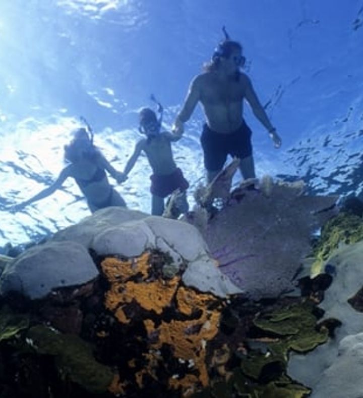 Snorkel And Paddle   California