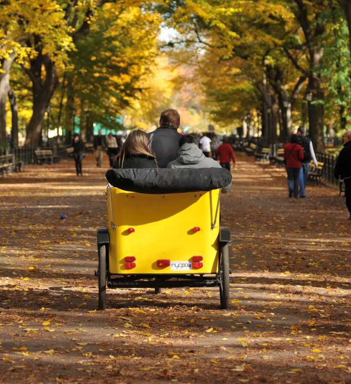 Central Park Zippy Pedicab Tour For Two   New York