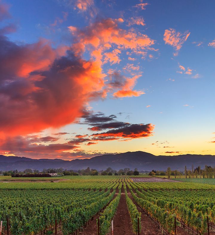 California Redwoods And Wineries Tour For Two