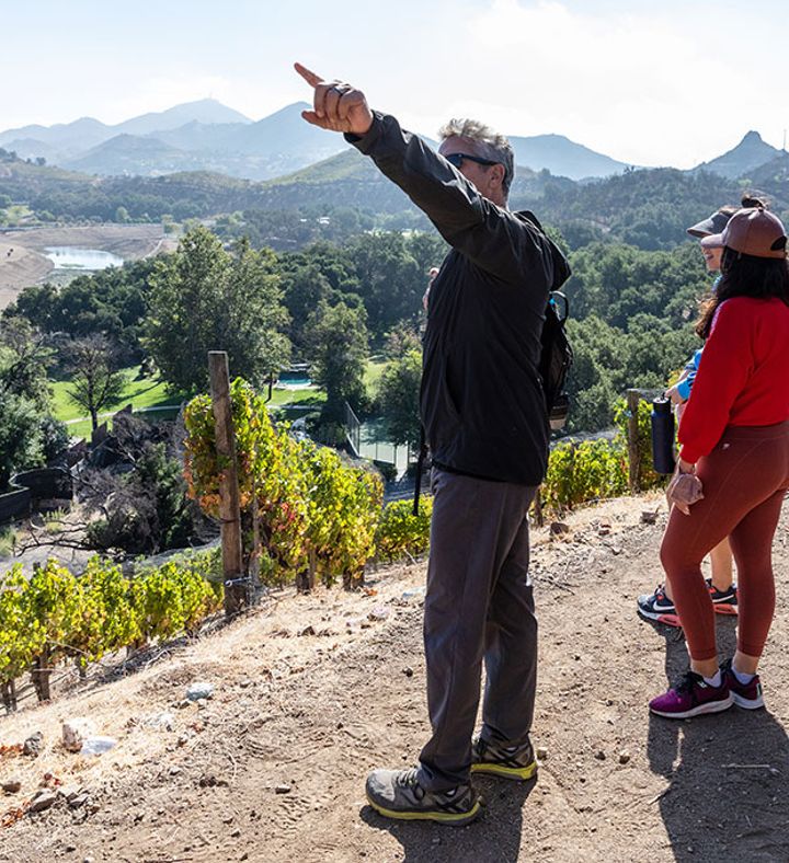 Scenic Vineyard Hike For Two - California