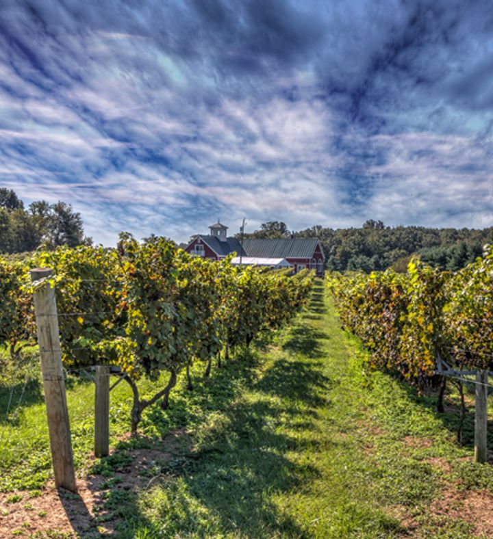 Private Wine Education Tour For Two - Washington, D.C.