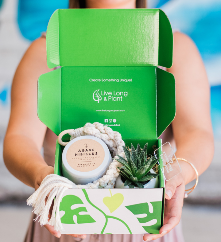 Macrame Succulent Spa Gift Box