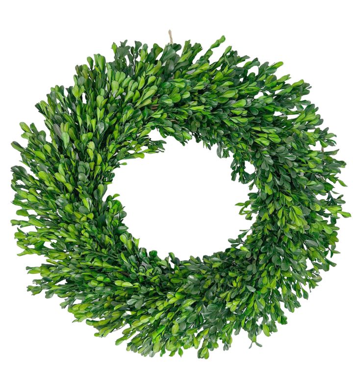 Preserved Boxwood Wreath 21" W/ Hanger