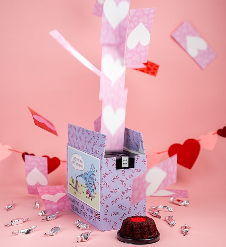 Valentine's Sassy Love Shower Bundle w/Cake
