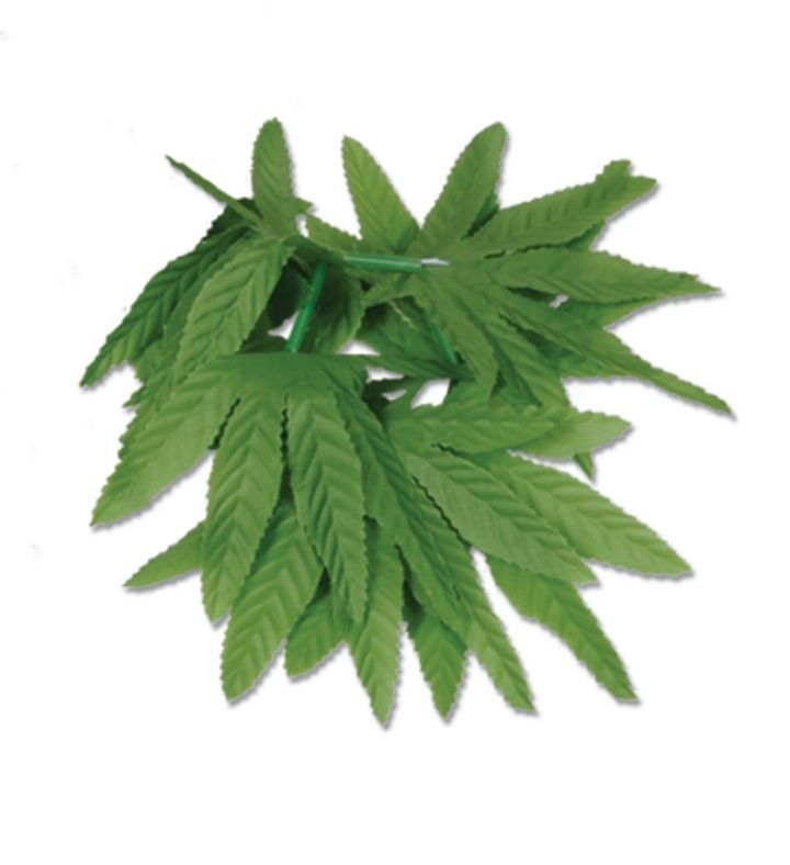 12 Pack Green Fern Leaf Tropical Luau Party Bracelets Costume 10"