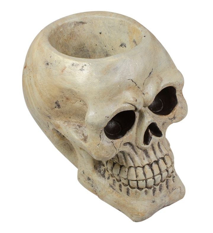 Halloween Skull Decoration - 11" - Ivory And Black