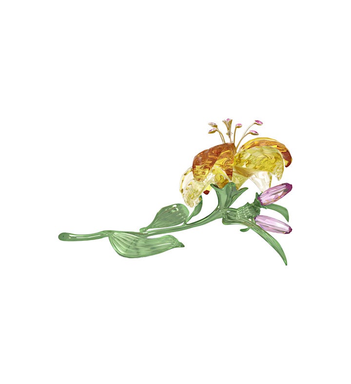 Florere Lily, Large