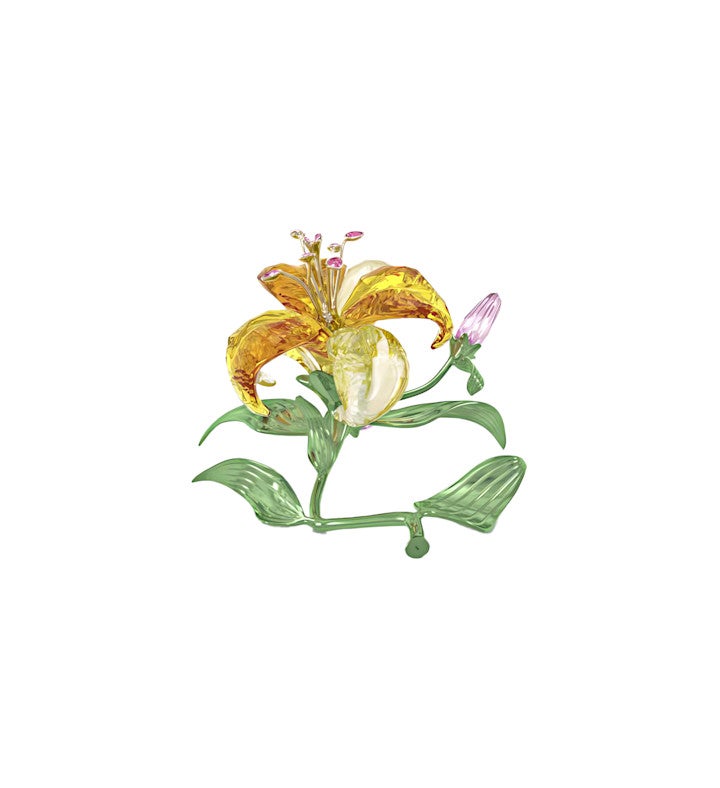 Florere Lily, Large
