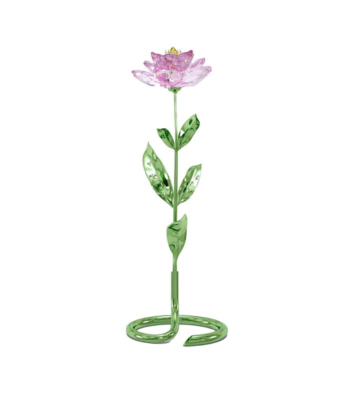 Florere Peony