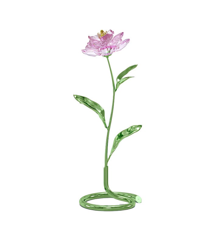 Florere Peony