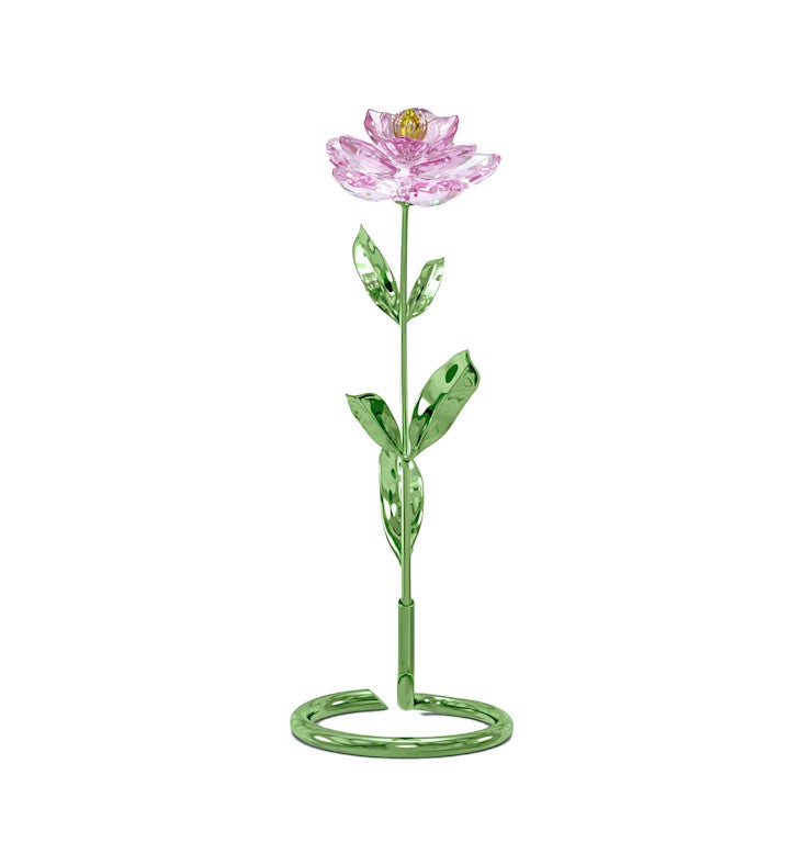 Florere Peony