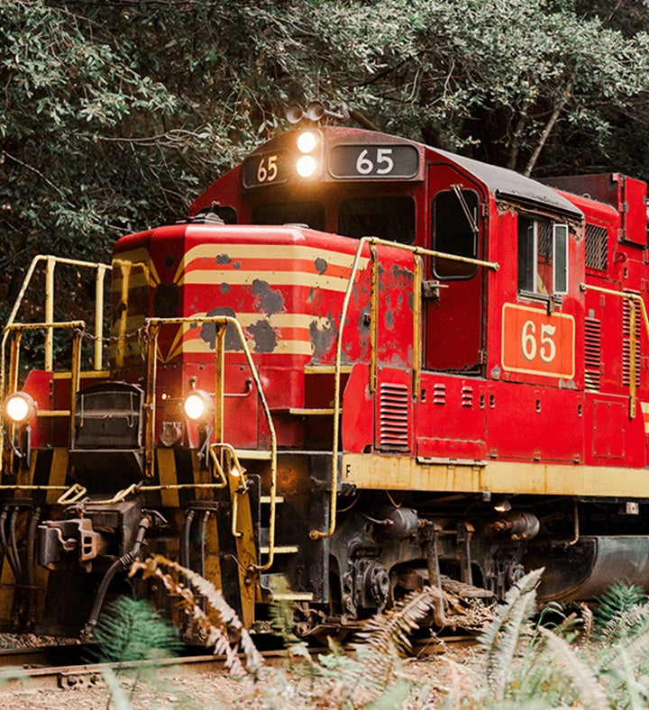 Redwoods Adventure: Train Ride To Secluded Glen Blair Bar For 2  California