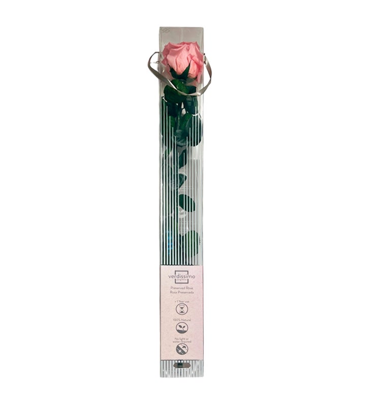 Everlasting Preserved Rose With Stem In Luxury Gift Box