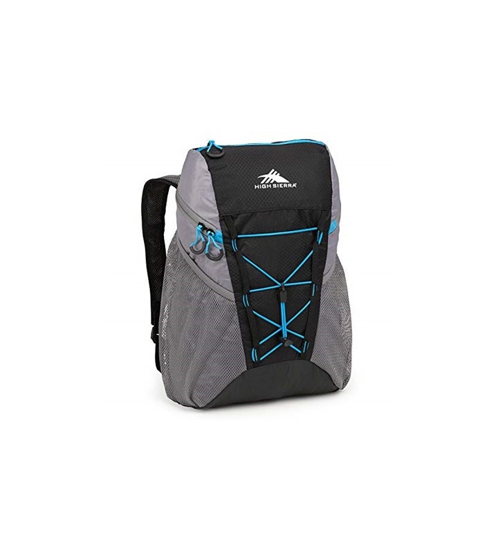 High Sierra Backpack