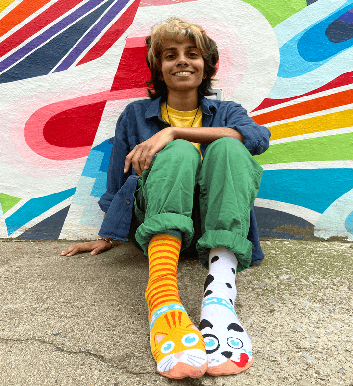 Cat & Dog Pals Socks