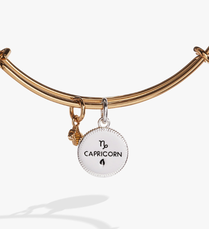 Zodiac Bangle Bracelet