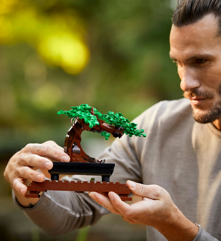 Lego Bonsai Tree 10281 Building Kit (878 Pieces)
