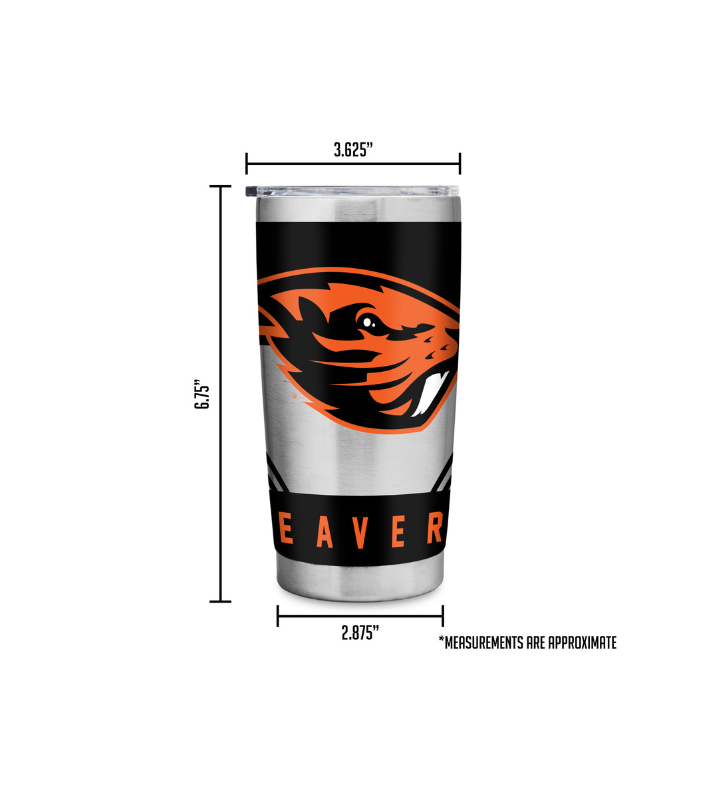 College 20oz Stainless Steel Tumbler With Lid