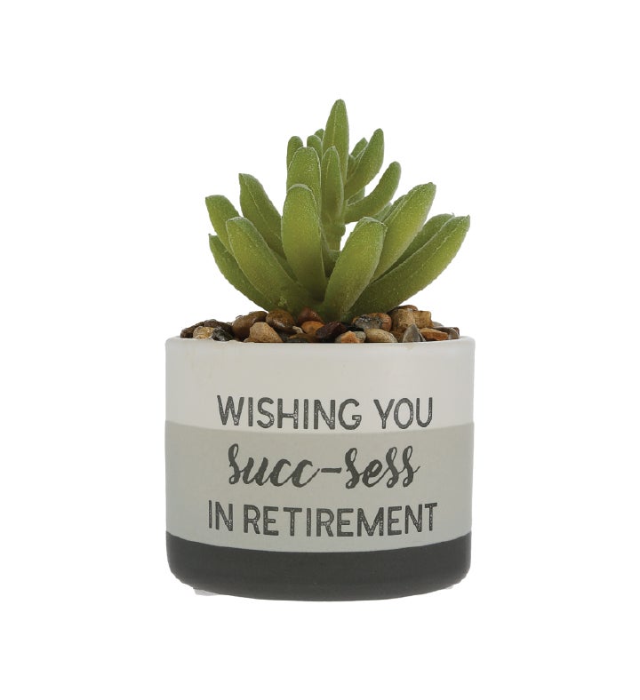 "Wishing You Succ ess in Retirement" Faux Succulent