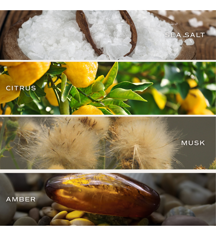 Salt And Sea 15 Oz Soy Candle