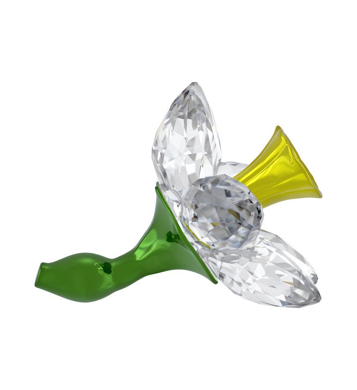 Florere Daffodil