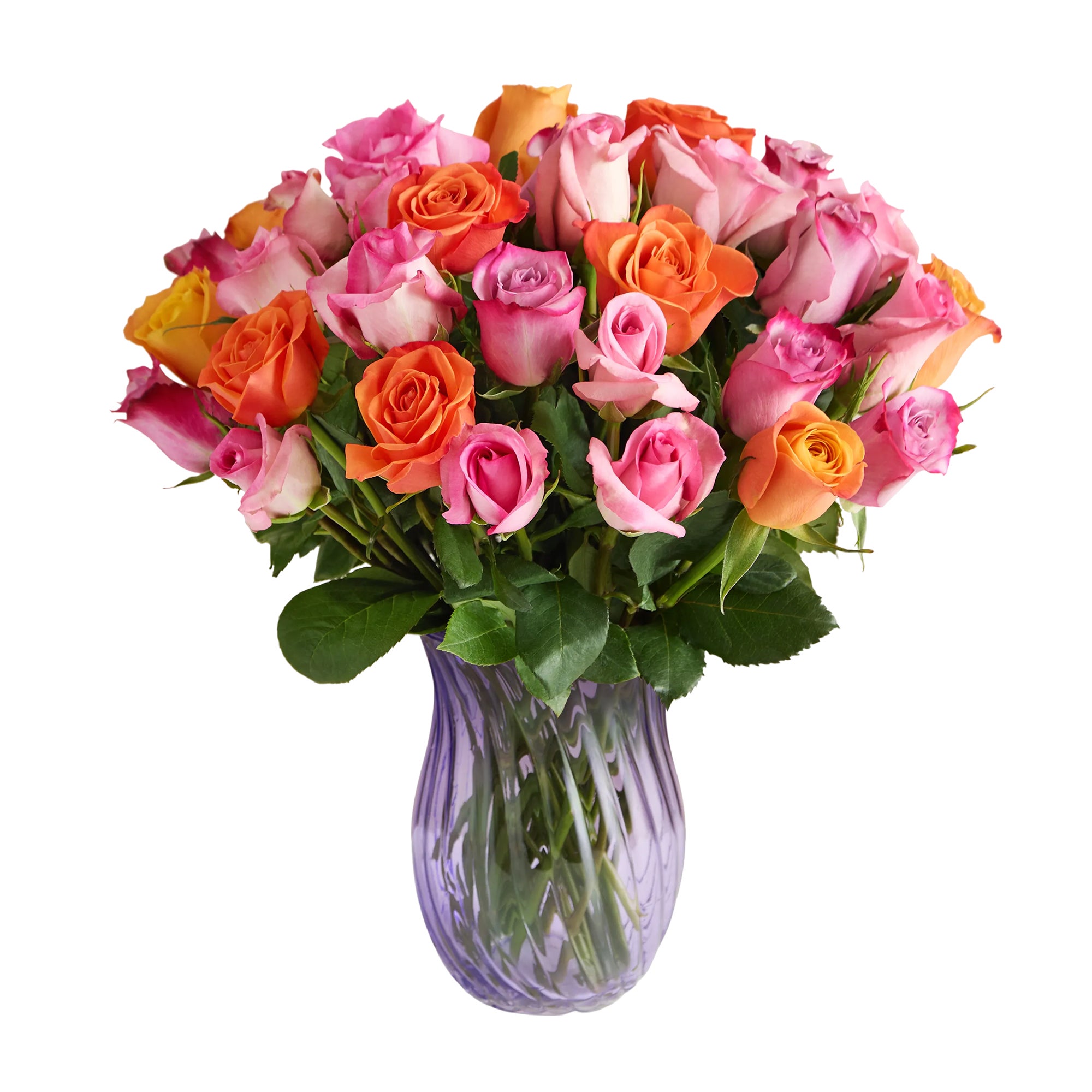 Sorbet Roses