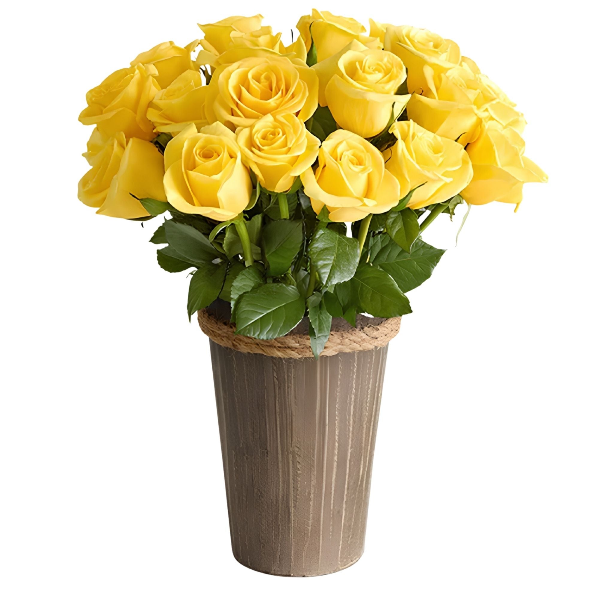 Yellow Roses