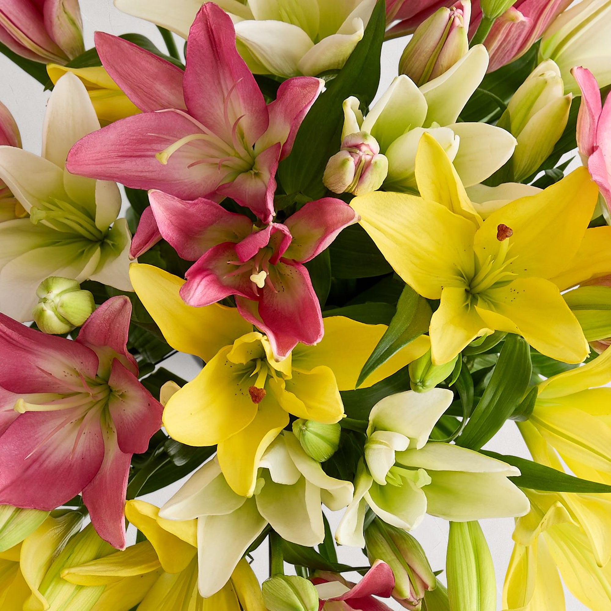 DIY Assorted Lily Flower Box