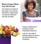 One Dozen of Assorted Roses