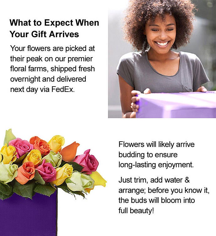 multi_roses_alt_view