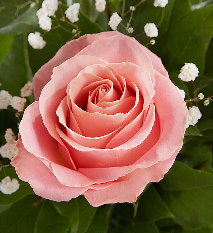 Ultimate Elegance™ Long Stem Pink Roses | 1800Flowers.com