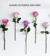 Passion for Purple Roses