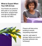 Mother's Day Butterfly Kisses