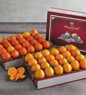 HoneyBell Heritage Box Duo