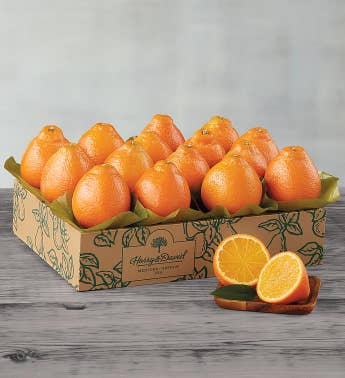 Western HoneyBells - One Tray
