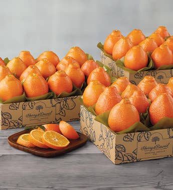 Western HoneyBells - Three Trays