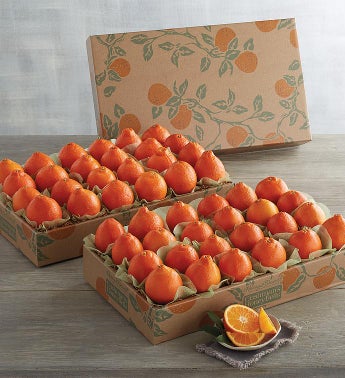 HoneyBell Heritage Box Duo