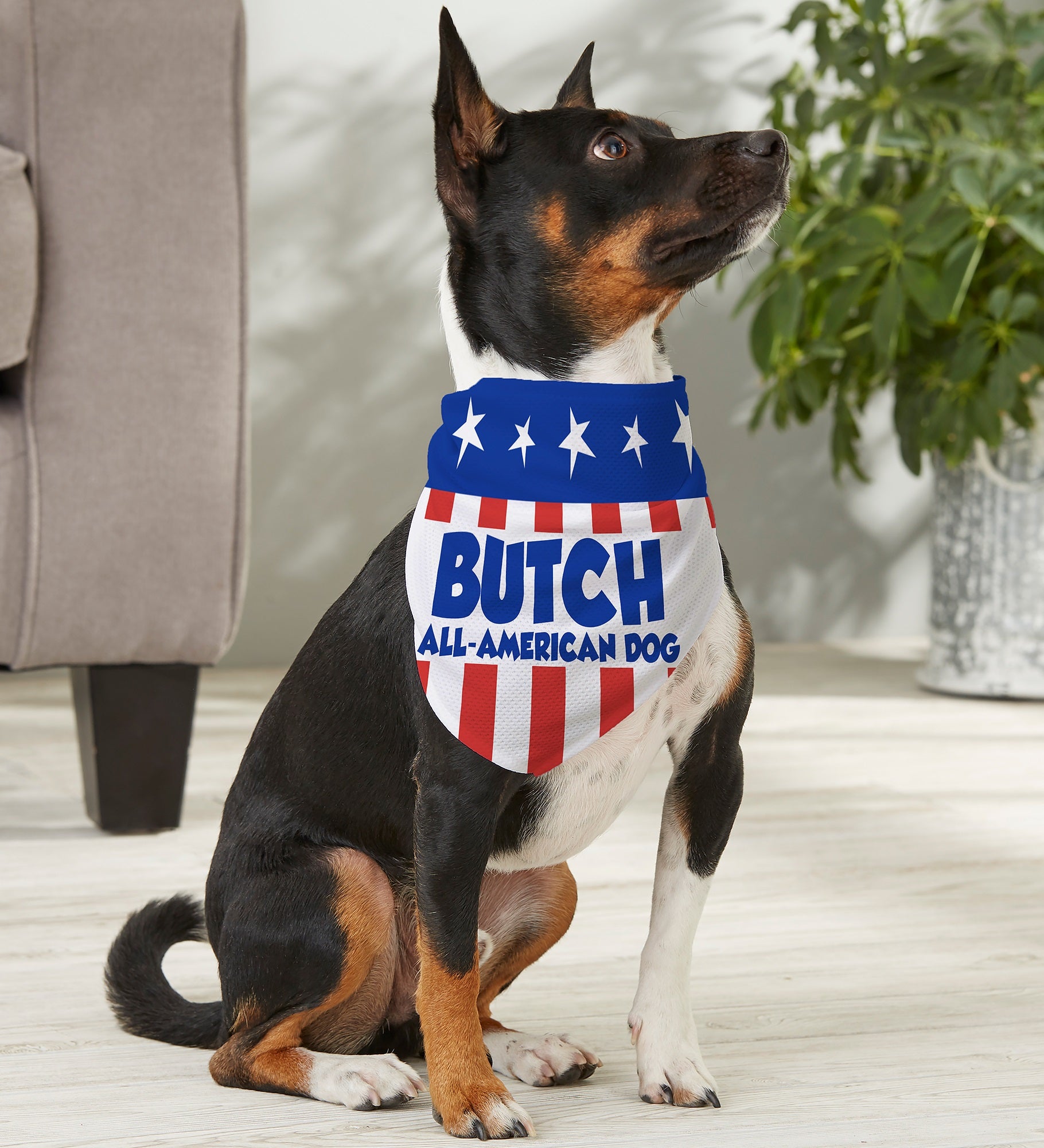 All American Personalized Dog Bandana