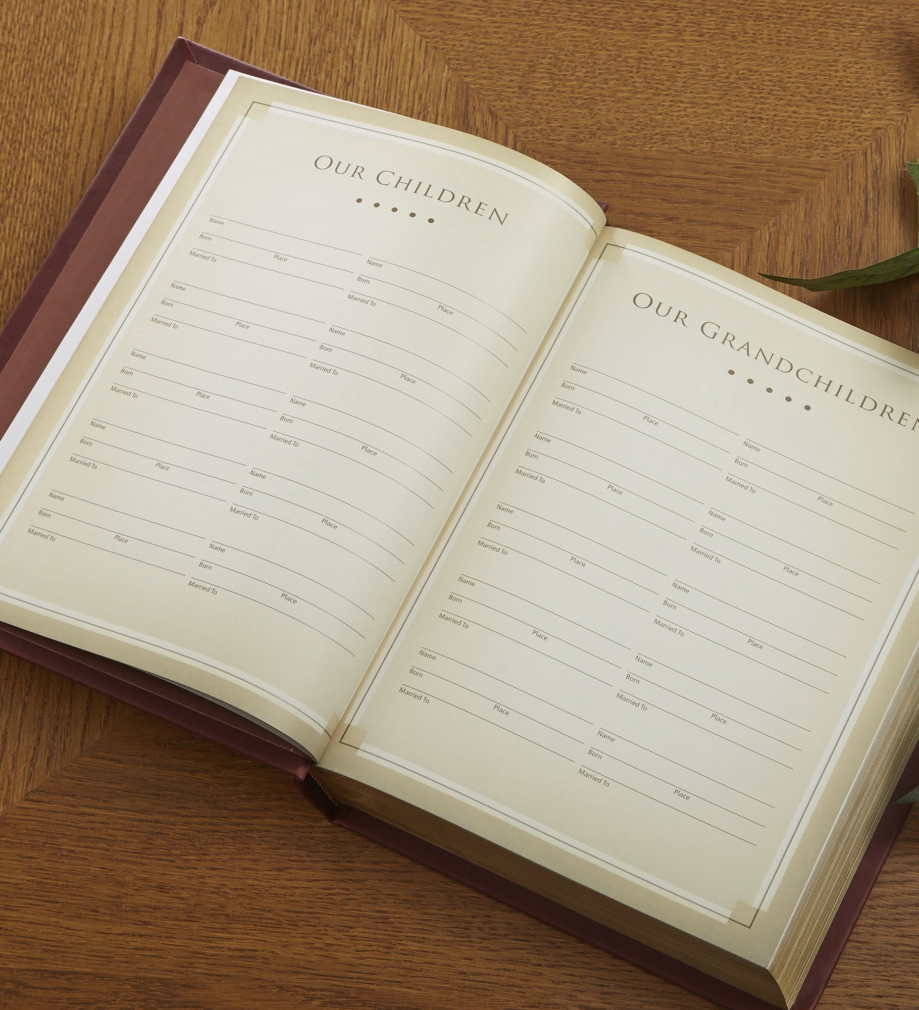 Family Legacy Personalized Bible