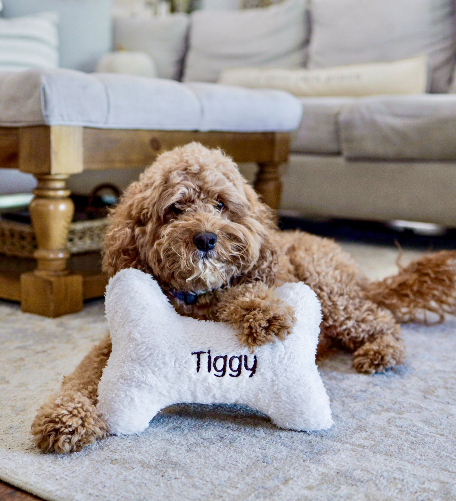 Personalized Dog Bone Pet Pillow